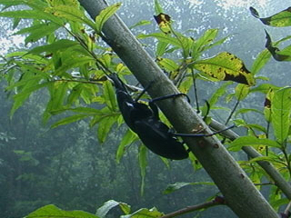 c0346119_20475185.jpg