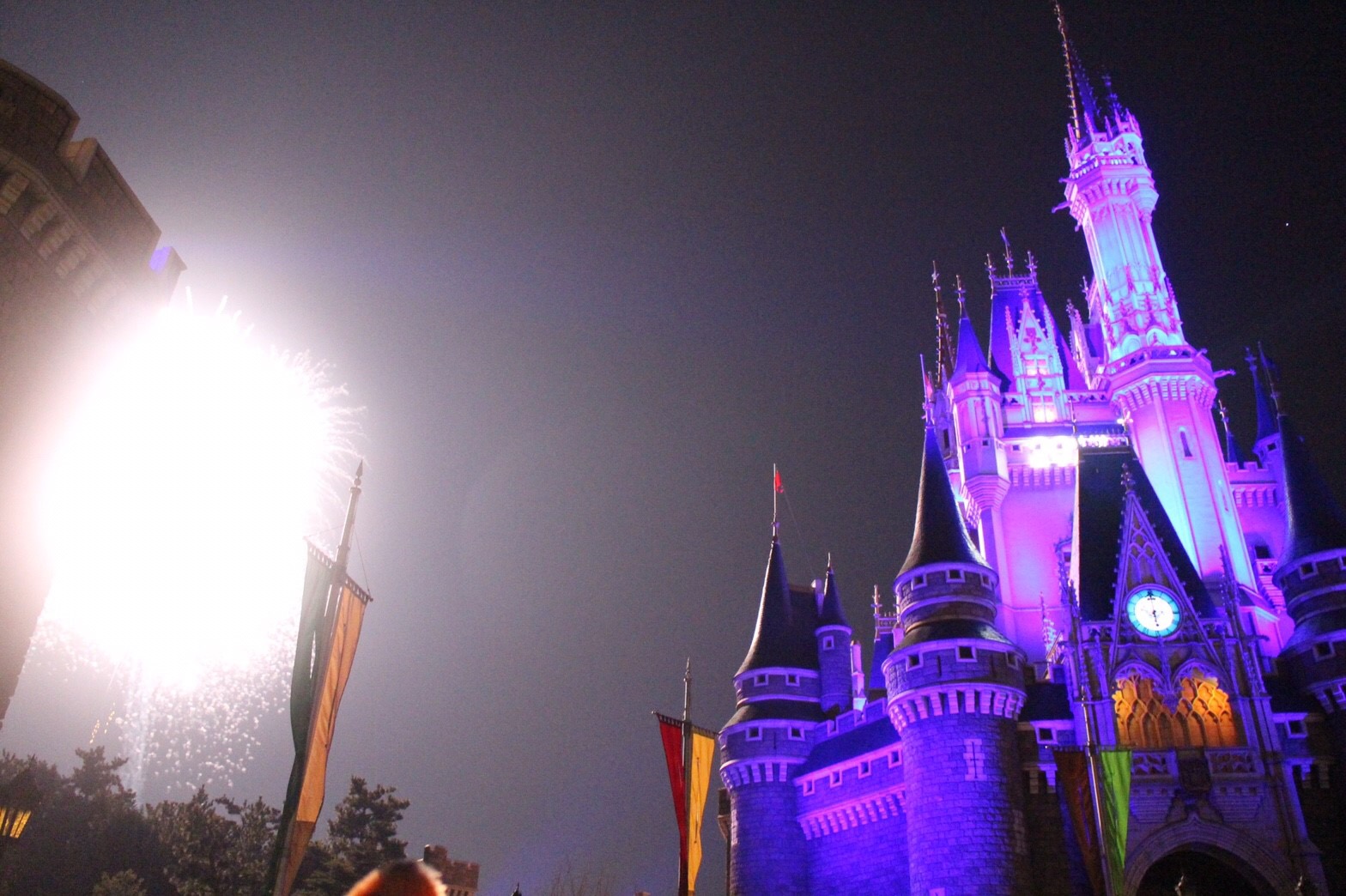 東京ディズニーリゾート_a0112220_7403188.jpg