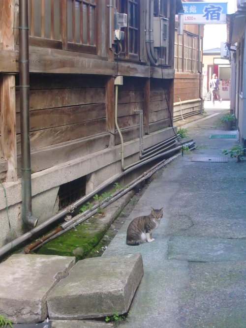 別府温泉（大分県別府市）_c0219820_10543793.jpg