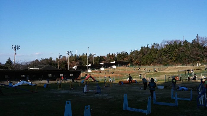 e0190220_2341167.jpg