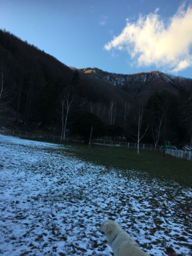 c0114121_0472140.jpg