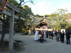初春のお慶びを申し上げます。今年も八百万の神に平和祈願!_c0133422_2321123.jpg