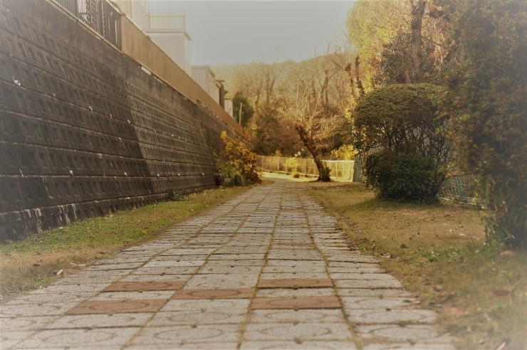 d0257922_16442823.jpg