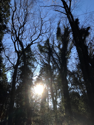 毎年恒例のひとりさんぽ_a0246432_09321150.jpg