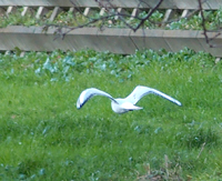 f0108133_0221042.jpg
