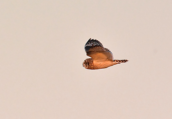 e0097534_1114712.jpg