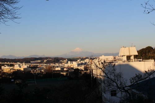 明けましておめでとうございます_e0222340_945168.jpg