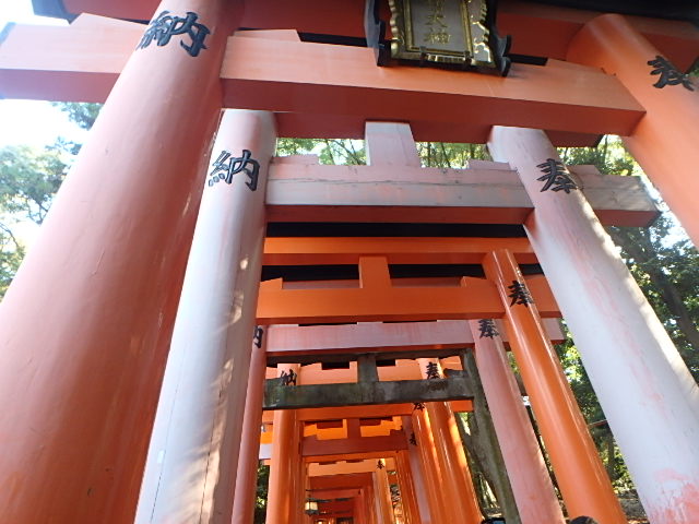 f0334143_17445183.jpg