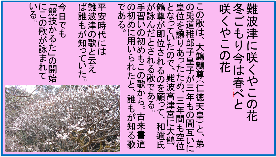 a0237545_17114329.png