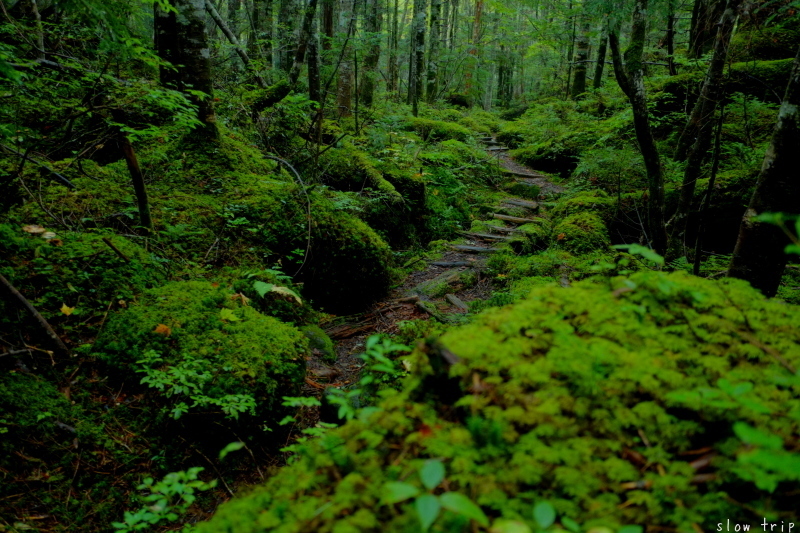 c0228945_17564430.jpg
