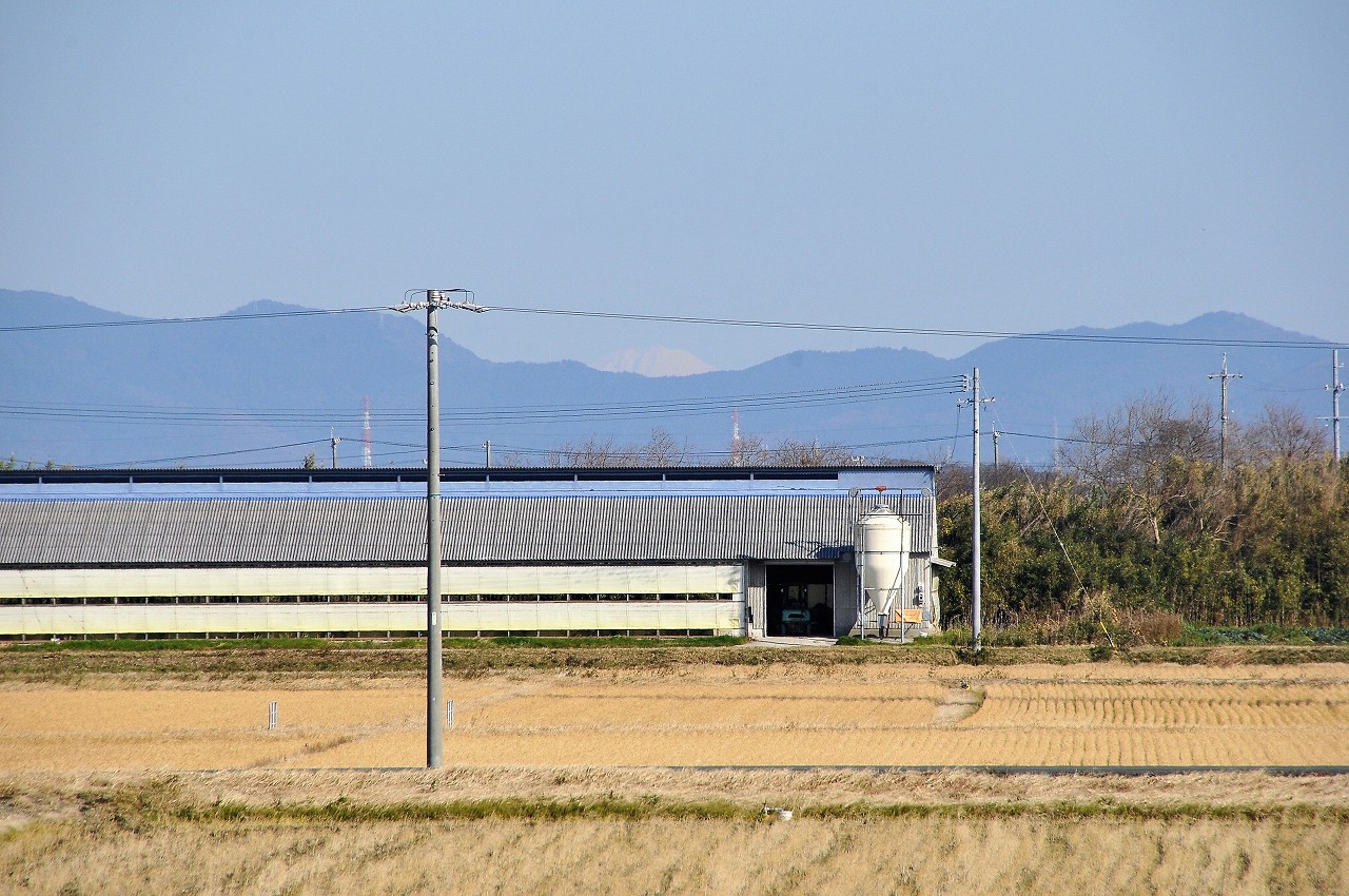 b0243248_1837499.jpg