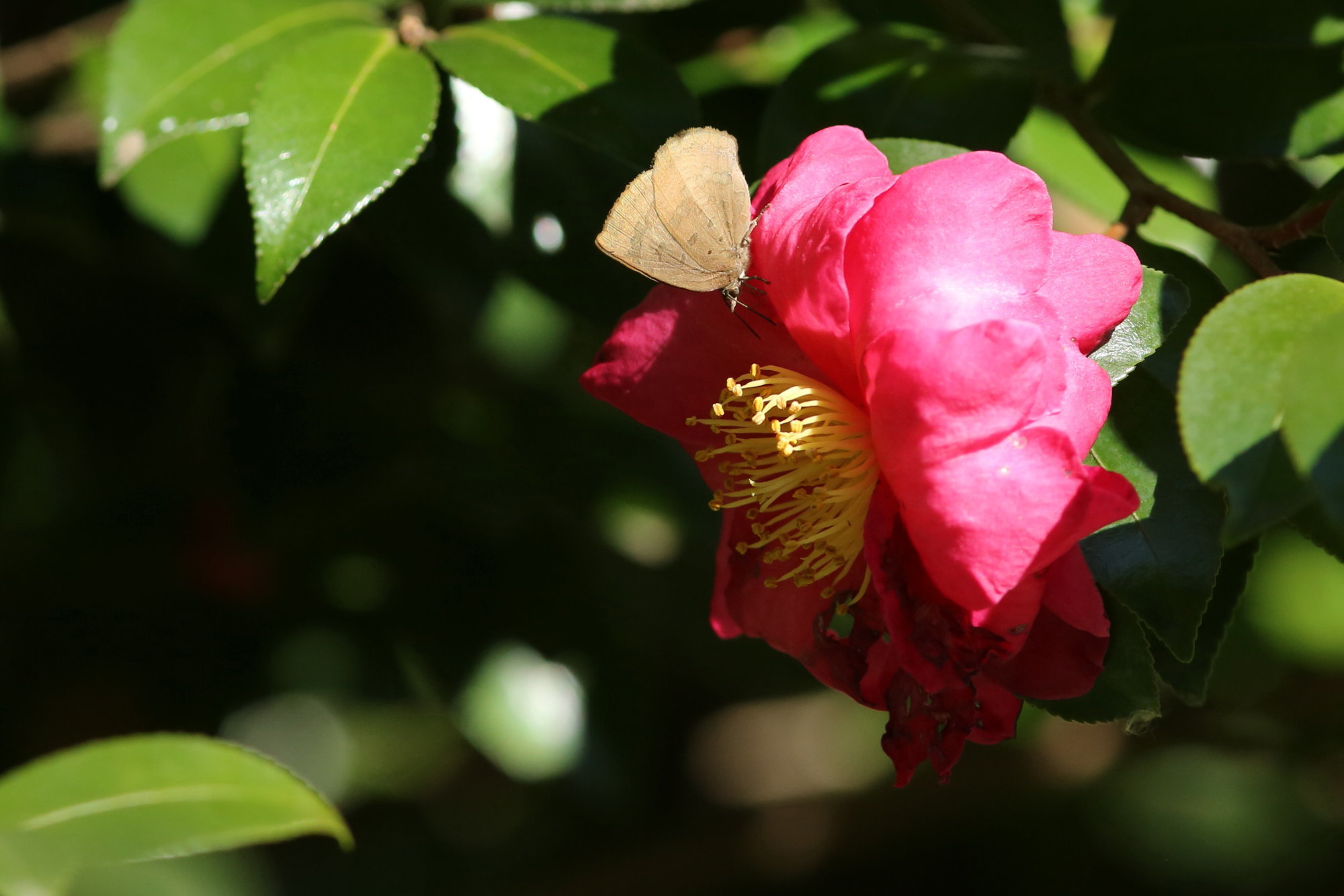 f0345350_20210839.jpg