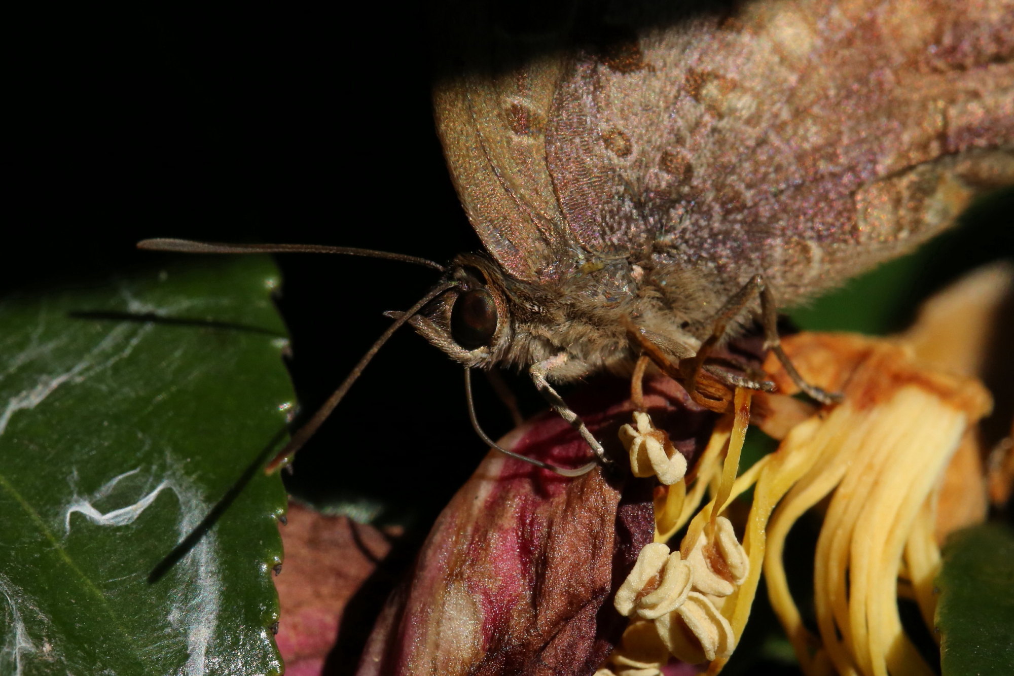 f0345350_20370067.jpg