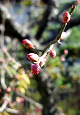 e0012055_21571334.jpg