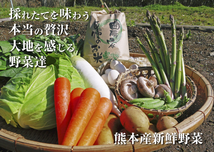 2019年　新年のご挨拶　今年も生産者と消費者の立場から熊本の旬を紹介！自らの農業もさらに頑張ります！_a0254656_17132944.jpg
