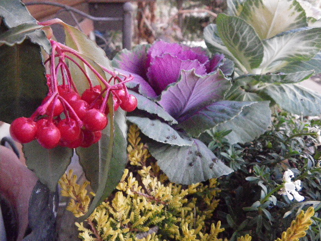 f0042665_17245373.jpg
