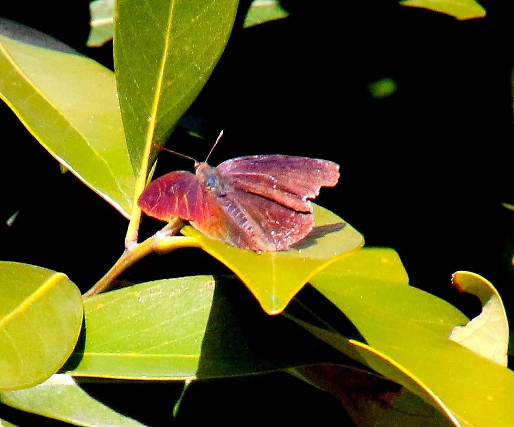 b0320769_16551158.jpg