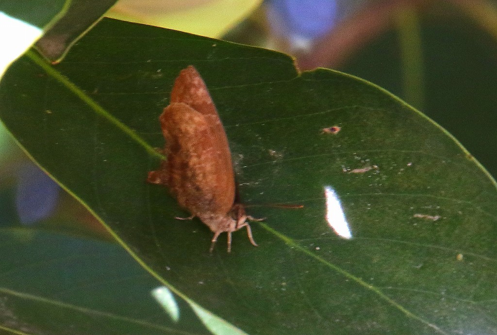 b0320769_16552647.jpg
