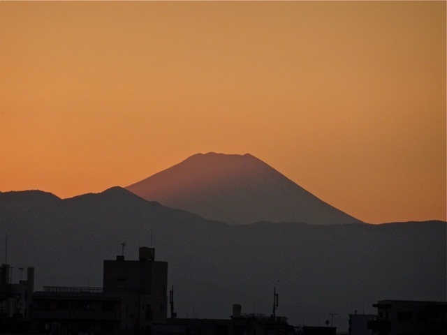 あけましておめでとうございます_d0244370_16461664.jpg