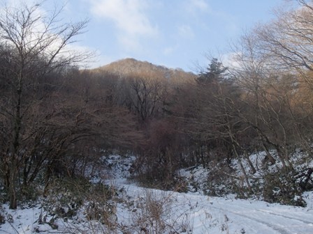a0344771_19542269.jpg
