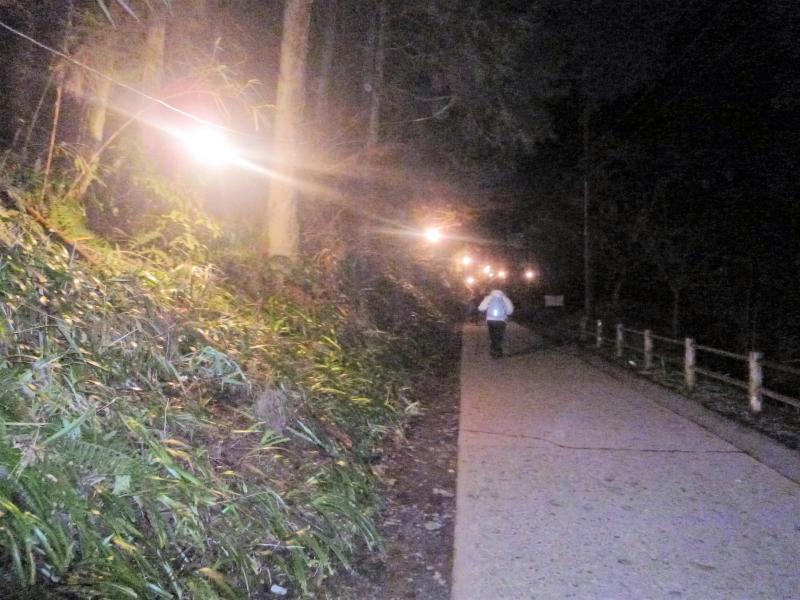 f0351775_21373237.jpg