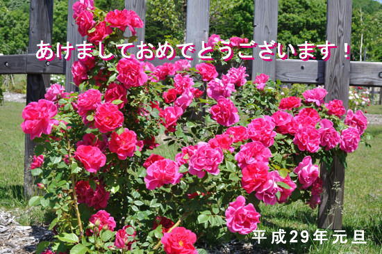 b0169987_21103734.jpg