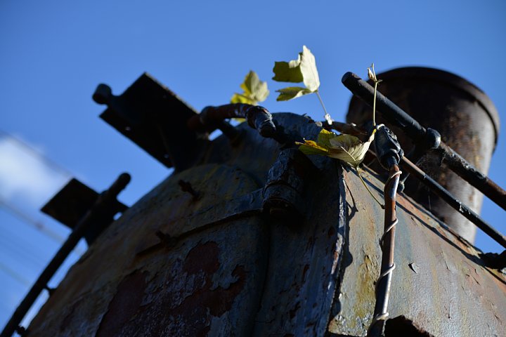 d0353489_19305264.jpg
