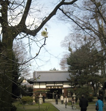d0090001_13115517.jpg