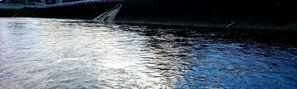 f0266202_20410197.jpg