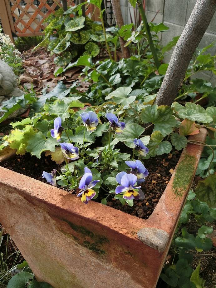 e0234004_2335418.jpg