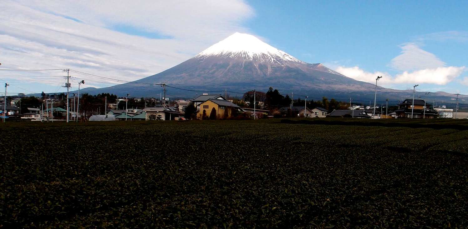 e0003910_23145572.jpg