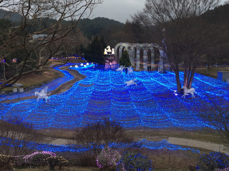 新年明けましておめでとう。_b0277613_23303568.jpg