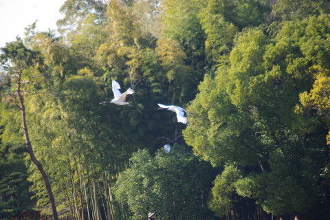 d0341514_09050824.jpg