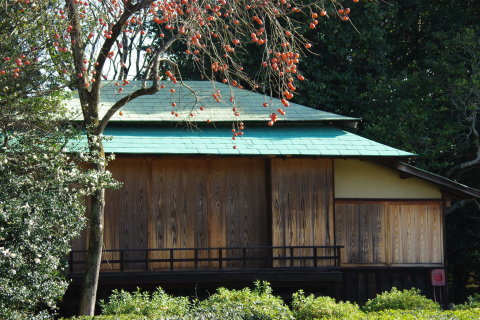 d0341514_09141315.jpg