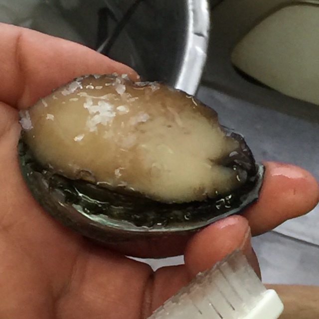 とこぶしの松笠煮 茶懐石 初歩の初歩練習会 とこぶしの松笠煮 茶懐石 初歩の初歩練習会