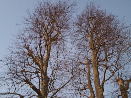 e0016828_10433784.jpg