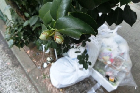 街のお医者さん_a0259130_19485745.jpg