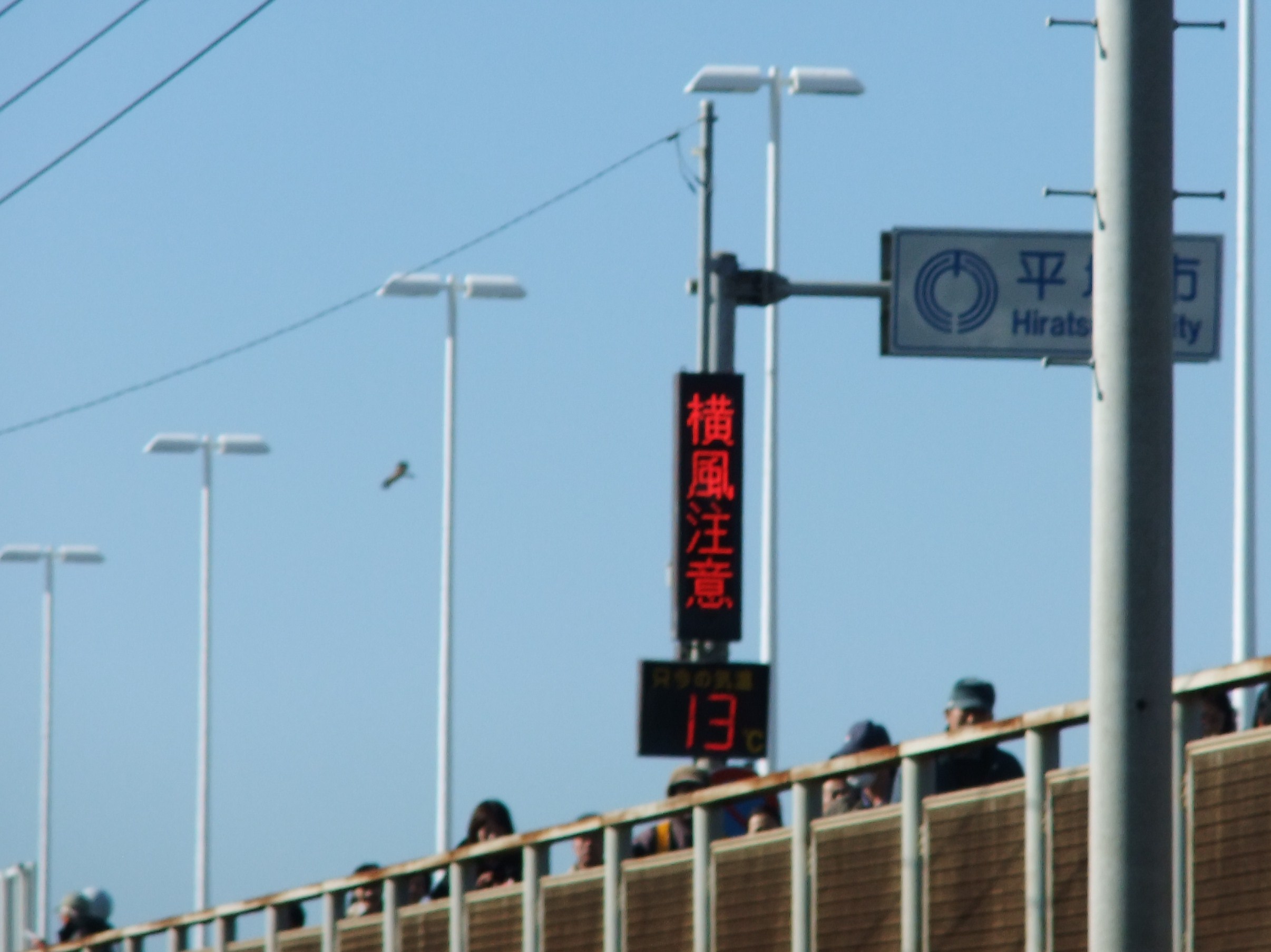 箱根駅伝3区17km地点_b0137932_13531792.jpg