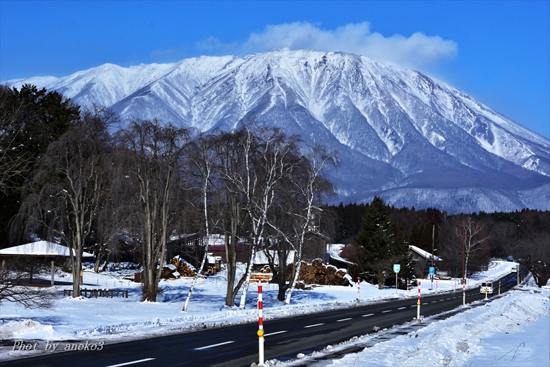 みちのく岩手山冬景（in小岩井）_d0067934_21331015.jpg