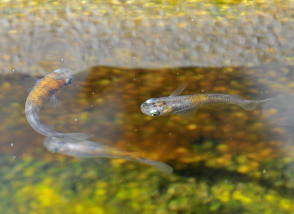 e0097534_16591648.jpg