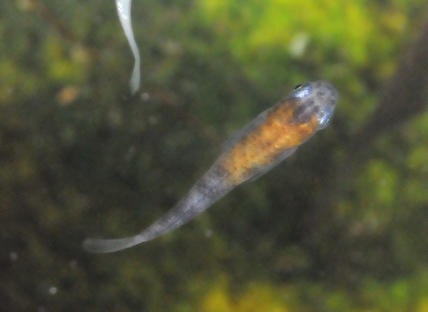 e0097534_170094.jpg
