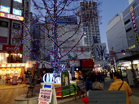 a0072247_1714834.jpg