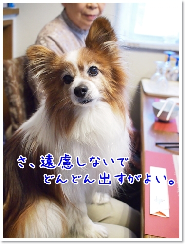 d0013149_23311187.jpg