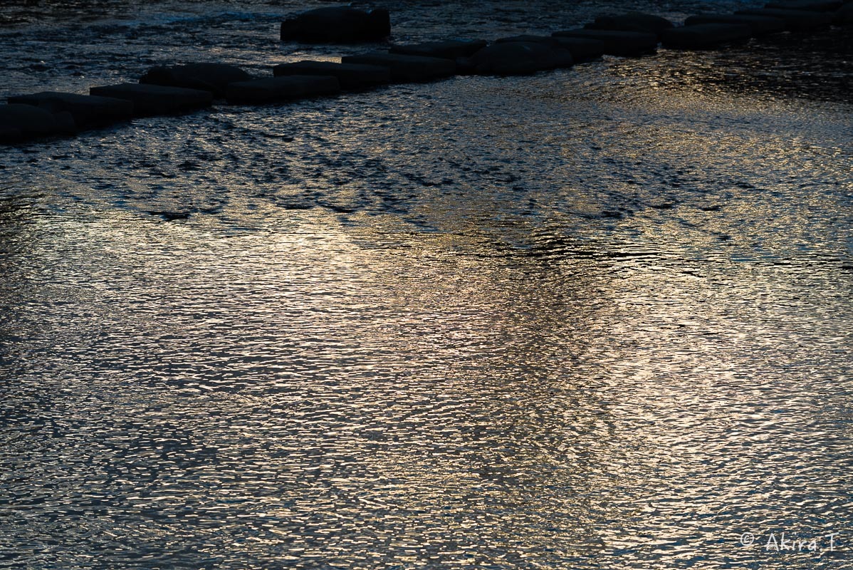 f0152550_18491262.jpg
