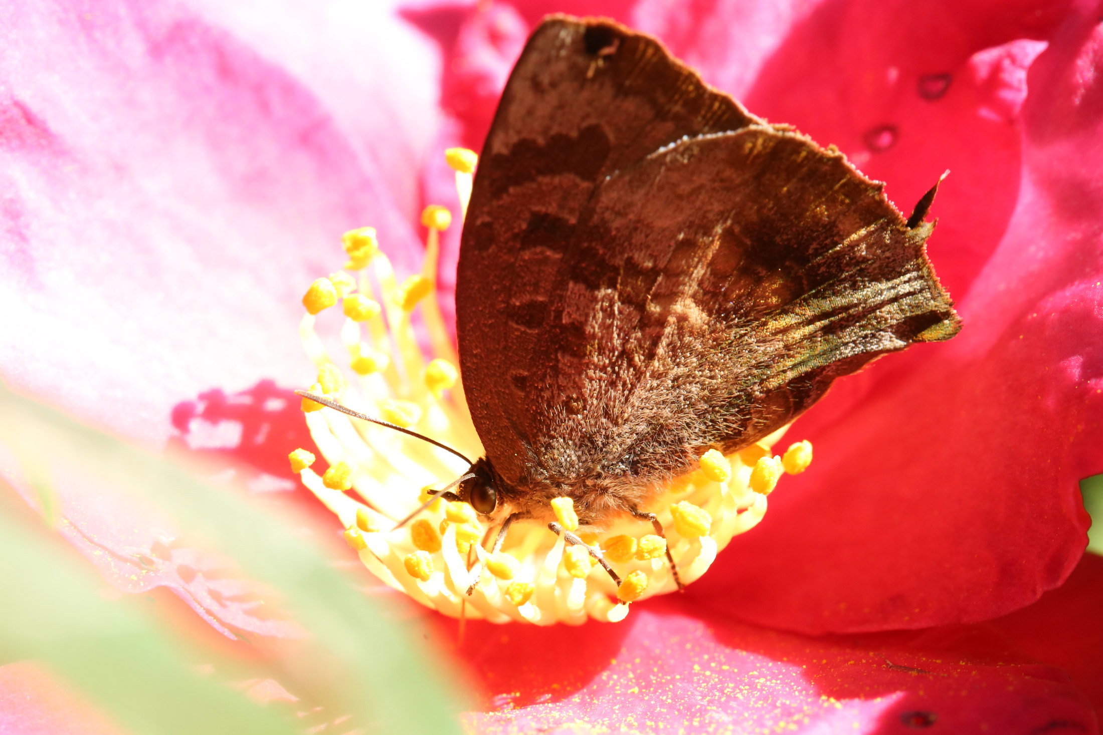 f0345350_07190230.jpg
