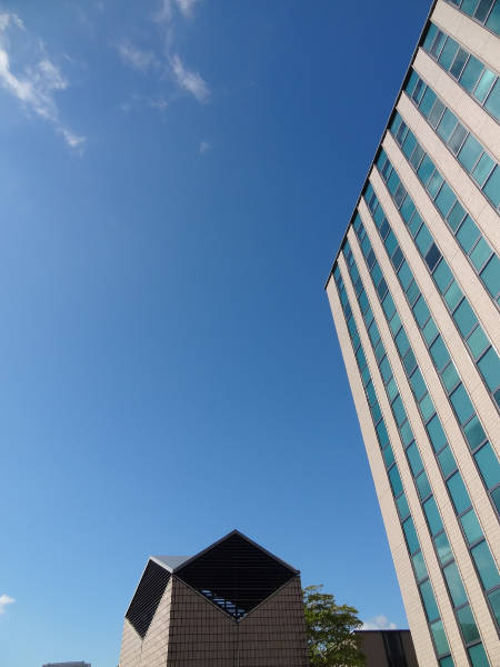 e0033751_1045816.jpg
