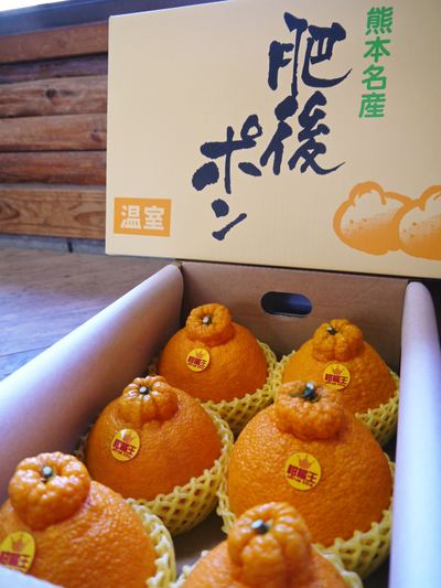 熊本県産デコポン(肥後ポン)大好評販売中!大玉も販売再開!樹上完熟デコポン「ひのゆたか」美味しさの秘密紹介します!_a0254656_15402895.jpg