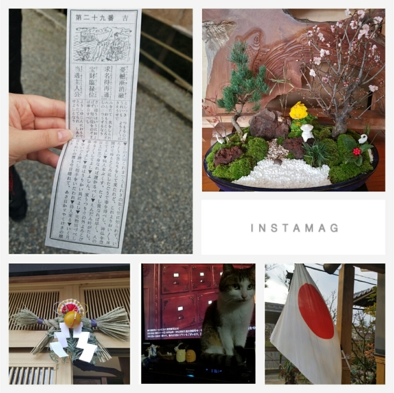 明けましておめでとうございます_b0328361_21140945.jpg