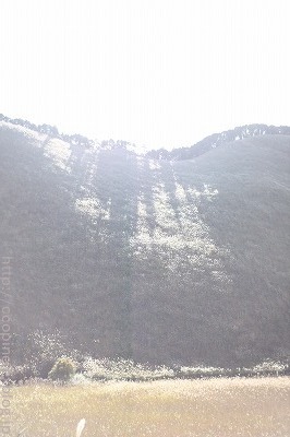 c0360661_07321350.jpg