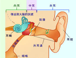 五感中の【聴覚】_b0226863_03474087.jpg